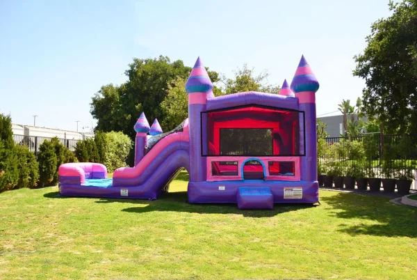 Cotton Candy Combo DOUBLE LANE Slides (15' H x 31' L x 13' W)