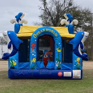 Ocean World BABY Playground  (18x18x15H)