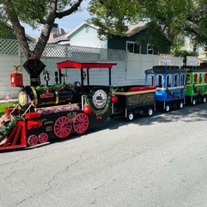 Electric Train all day rental