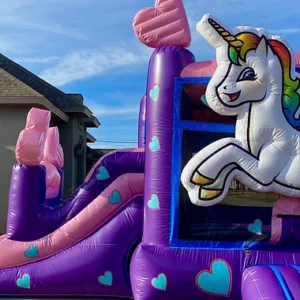Unicorn Dream  Combo (15Hx13Wx31L)