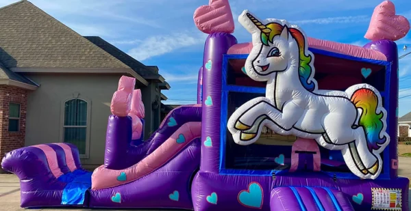 Unicorn Dream  Combo (15Hx13Wx31L)