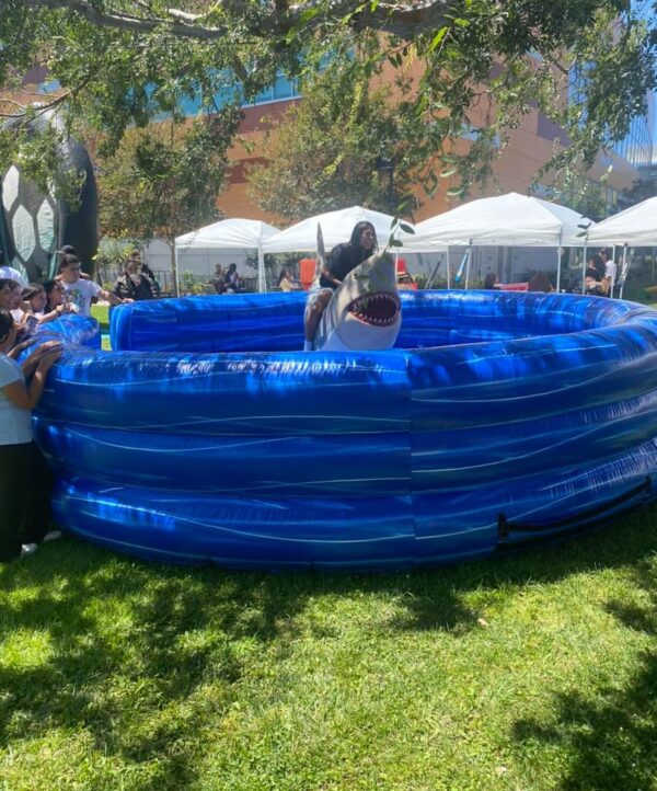 Mechanical bull 17ft L x 17ft W x 8.25ft H